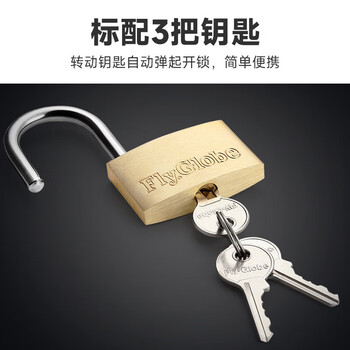 飞球（Fly.Globe）铜挂锁实心黄铜衣柜挂锁 FQ-B*40MM