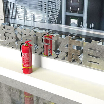 绿消 灭火器 干粉灭火器 消防器材灭火器套装 4公斤干粉灭火器2具+灭火器箱组合 加强款