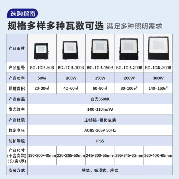 贝工 LED投光灯 建筑工地照明灯泛光灯广告照明路灯IP65 睿系列 100W 白光 BG-TGR-100B