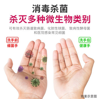 消博士 免洗手消毒凝胶 医院外科用速干乙醇洗手液 含酒精杀菌消毒液 公司工厂学校家商用成人儿童便携 258ml