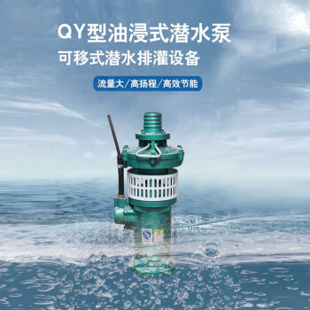 神武 QY系列油浸式潜水电泵 65-10-3