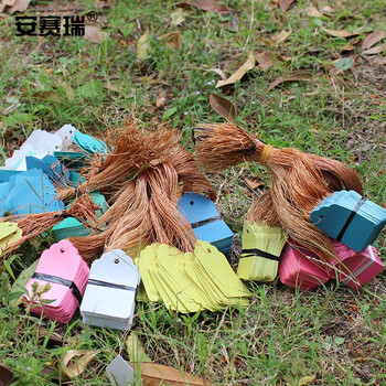 安赛瑞 PVC吊牌（1000张）彩色标签吊签牌花卉园艺塑料小挂牌防水标签园艺 蓝色 6×4cm 530338
