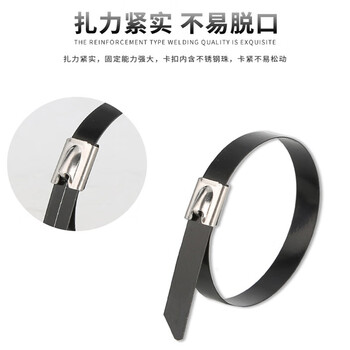 飞尔（FLYER）不锈钢扎带 黑色自锁式 束线带 金属钢带 100根/包【5.6×900MM】