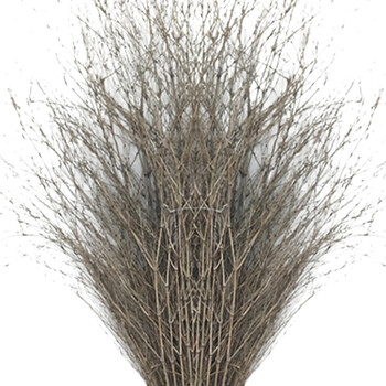 卉营（HUIYING）竹扫帚 大制2000*800mm把  可定制