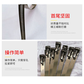 飞尔（FLYER）304不锈钢扎带 加厚活扣扎带 自锁式扎带 可拆卸捆绑带 100根/包【14宽×500mm】