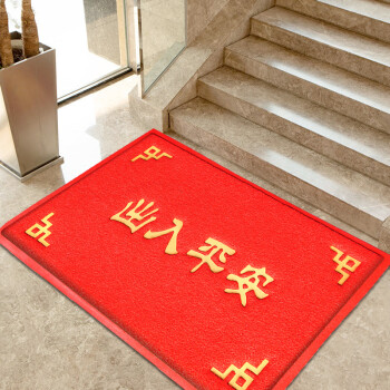 豫之韵 大门口欢迎光临地垫特厚进门大红色防滑垫丝圈门口迎宾电梯欢迎光临门垫脚垫 元宝 60*90cm出入平安