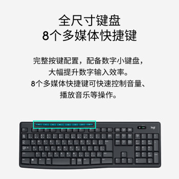 罗技（Logitech）MK275 企业级无线键鼠套装 办公鼠标键盘套装 电脑笔记本办公键鼠套装 带无线2.4G接收器 黑蓝色