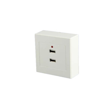 巨成 定制 usb插座 36V/5V 明装插座2孔 10个装 企业定制 下单需联系厂家