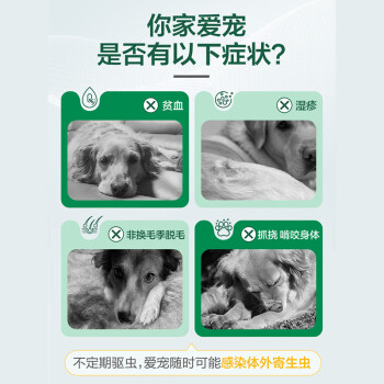 福来恩（FRONTLINE）狗体外驱虫滴剂 大型犬宠物狗驱虫药品法国进口-复方小绿滴 整盒2.68ml*3支装