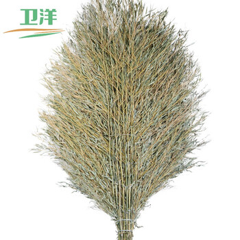 卫洋 WY0014 手工扫把 清洁扫把物业工厂 环卫工木柄大扫把5斤装 5把装