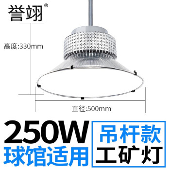 誉翊 LED球馆灯室内篮球场灯乒乓球室羽毛球排球馆用灯 250W 吊杆款配0.5米杆子+吸顶盘 