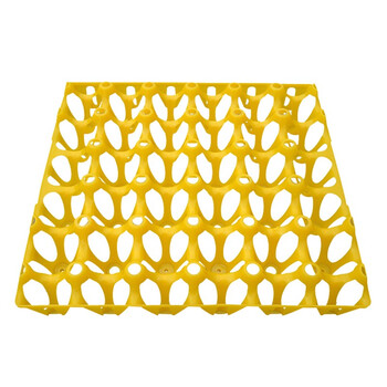 稳斯坦 WST4006 (10个)鸡蛋托架 30枚塑料鸡蛋商品蛋托盘养殖设备（30*30*5cm）