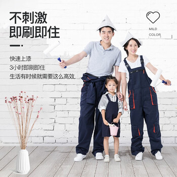 阿斯密 ASMES 5合1净味全效墙面漆 内墙漆 净味全效乳胶漆白色5L