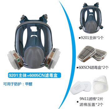 一护 KN95防毒全面具【防甲醛】 6005CN防毒全面具套装(7件套)