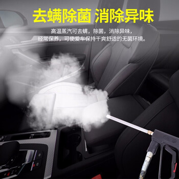 博赫尔（POHIR）工业清洗机 高温高压蒸汽机高压洗车水枪 酒店工厂物业蒸汽清洁设备 工业清洗工具