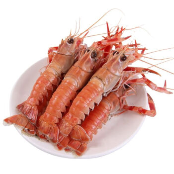 新鲜海龙虾海螯虾鲜活超大虾皇深海生吃虾刺身海虾铁甲虾净重3斤