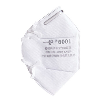 一护 KN95头戴式口罩 防尘防颗粒物呼吸器 20支装 6001 KN95