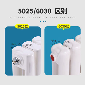 利兴 LX-6030 钢二柱暖气片低碳钢水暖散热片钢制散热器总厚9cm 中心距600mm总高670mm-1片