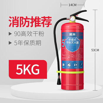 蓝炎 灭火器 5公斤干粉灭火器家商两用消防器材 5kg干粉灭火器2具+灭火器箱组合