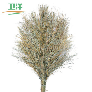 卫洋 WY-003 手工扫把 清洁扫把物业工厂 环卫工中号扫把3.6斤左右一把装