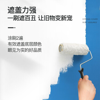 阿斯密 ASMES ASN510 净味环保抗甲醛无添加五合一全效内墙涂料 水性乳胶漆墙漆墙面漆 5kg
