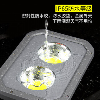 龙代（longdai）LED投光灯 低压12V-60V户外防水球场照射灯广场工地灯泛光灯 低压光效强100W工程白光款