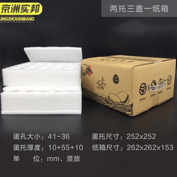 京洲实邦【6套50枚盖板中托+纸箱】防震鸡蛋托包装盒JZSB-2115