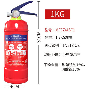 淮海 干粉灭火器 1kg 国家消防认证小轿车内用灭火器 车载家用应急救援包灭火器固定套装 干粉1公斤+固定带