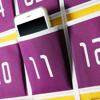 兰诗（LAUTEE）WS-001挂墙收纳袋手机收纳袋零件工具教室收纳袋 蓝色12格