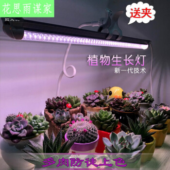 适用于全光谱多肉补光灯仿太阳室内家用花卉光合作用led植物光照生长