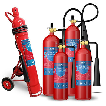 蓝炎 二氧化碳灭火器 机房精密仪器气体手提式5公斤干冰灭火器 消防器材 MT/5