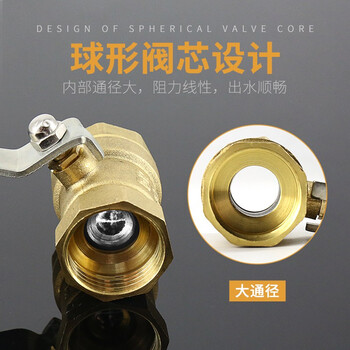 蓝炎 消防卷盘球铜阀门接头软管水枪头开关配件消防卷盘球阀DN25（内丝）