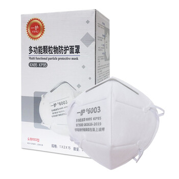 一护 KN95/KP95头戴式口罩 防油性/非油性颗粒呼吸器 单支装 6003