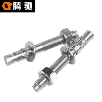 腾驰（CT）304膨胀螺丝车修壁虎 M8*80(100支/盒）