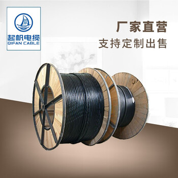 起帆（QIFAN）电缆 YC5*6平方重型橡套软线（按需生产）黑色 10米 100米起售