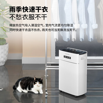 多乐信（DOROSIN）除湿机/抽湿机 除湿量21升/天 家用轻音地下室干衣除湿吸湿器 干燥机ER-620B 