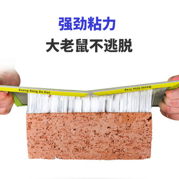 达豪 捕鼠神器一老鼠贴窝强力粘鼠板端大号灭鼠家用5张装
