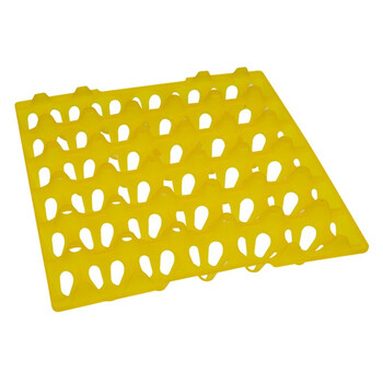 稳斯坦 WST4006 (5个)鸡蛋托架 30枚塑料鸡蛋商品蛋托盘养殖设备（30*30*5cm）