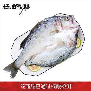 开背三去海鲈鱼鲈鱼(去鳞去鳃去内脏)新鲜活冻鱼类生鲜 海鲜水产七星
