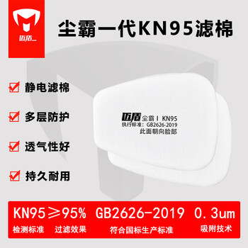 迈盾防毒口罩 防毒面具 防有毒气体活性炭口罩防甲醛喷漆口罩电焊口罩  602P套装
