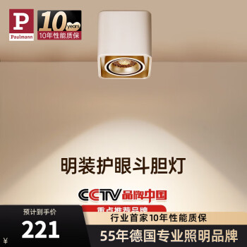 柏曼全光谱护眼斗胆灯明装