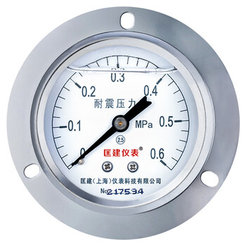 匡建仪表（CONJANT）YTN-60ZT  耐震压力表0-0.6mpa不锈钢液压表 轴向抗震高压螺纹14*1.5