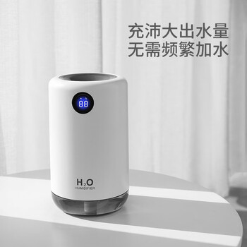 海纳斯（HANASS）加湿器 家用卧室轻音小型空气加湿伴侣 充电便携式办公室桌面空调伴侣加湿器 D21