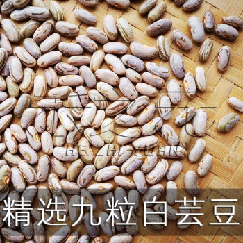 九粒白种子大全芸豆种籽老来少豆角四季菜豆蔬菜种孑春季秋冬农家九粒