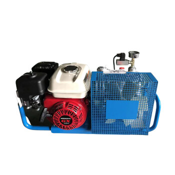 普达 消防救援正压式空气呼吸器充气泵30Mpa高压打气机潜水气瓶 NRX100-IG充气泵（燃油发动机)