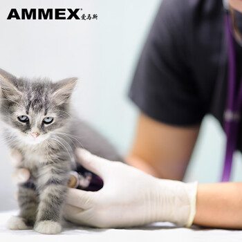 爱马斯一次性乳胶手套 100只/盒 乳白色TLFT 大号L码