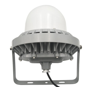 IRE（弗朗） BRE18 LED防水防尘平台灯 30W 220V  LED 节能 三防