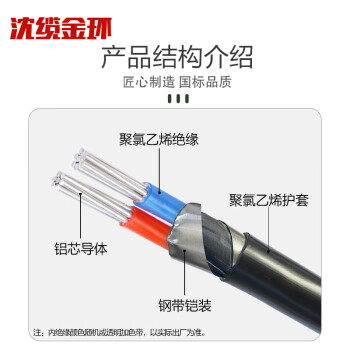 沈缆金环 ZR-VLV22-0.6/1KV-2*35mm² 国标阻燃铝芯钢带铠装电力电缆 1米
