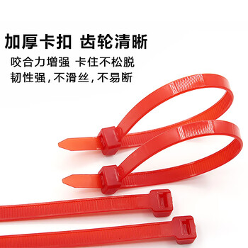 飞尔（FLYER）红色尼龙扎带 主机装机 园艺线缆 桌面理线束线捆扎绑带【国标 250×7.6mm 100条】