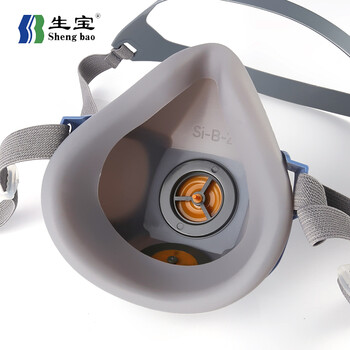 生宝 GM2004 硅胶防毒半面具 防护有机气体蒸气防化喷漆防烟 搭配P-A-1滤盒套装 1套